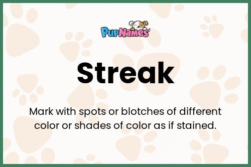 Streak dog name meaning