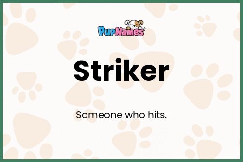 Striker dog name meaning