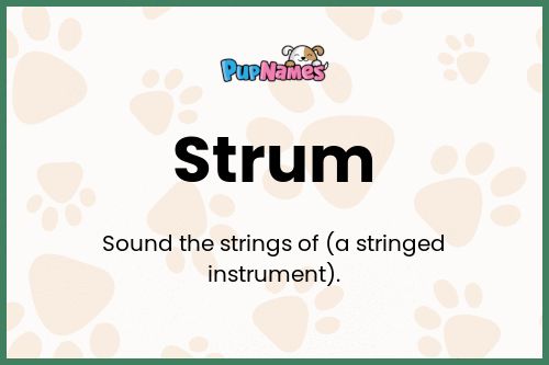 Strum dog name meaning