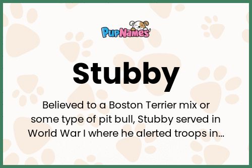 Stubby dog name meaning