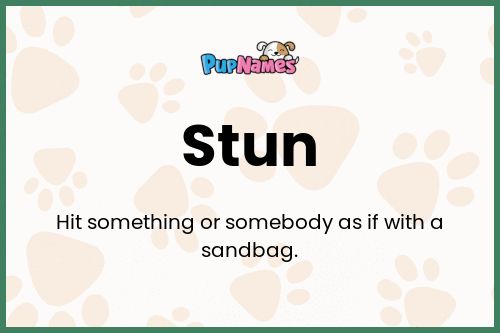 Stun dog name meaning