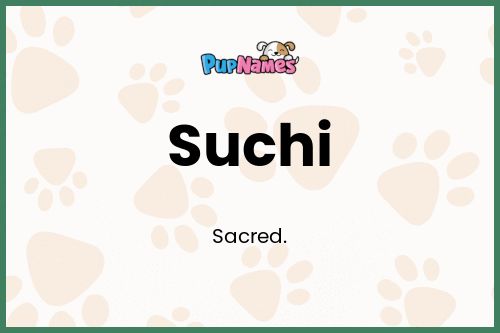 Suchi dog name meaning