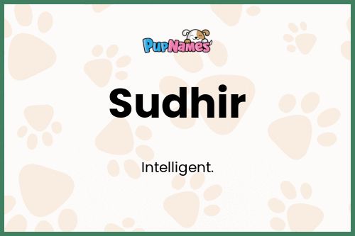 Sudhir dog name meaning