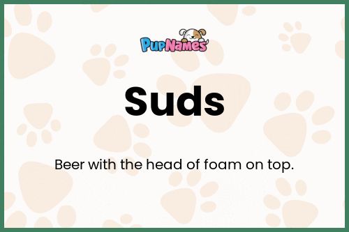 Suds dog name meaning