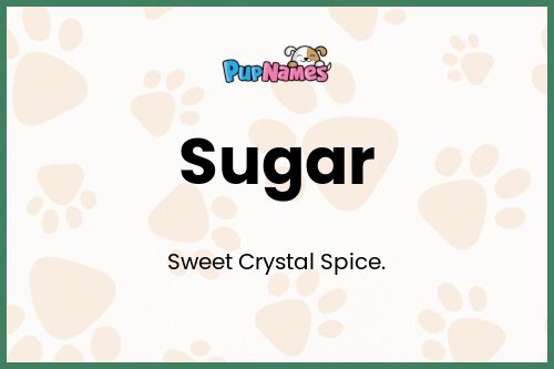 Sugar dog name meaning