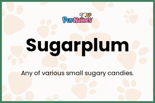 Sugarplum dog name meaning