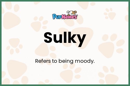 Sulky dog name meaning