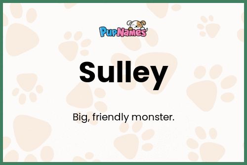 Sulley dog name meaning