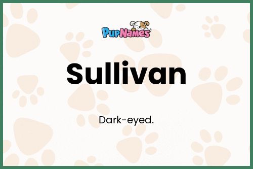 Sullivan dog name meaning