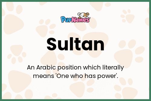 Sultan dog name meaning