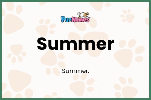 Summer dog name meaning