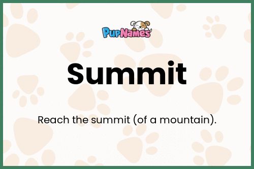 Summit dog name meaning