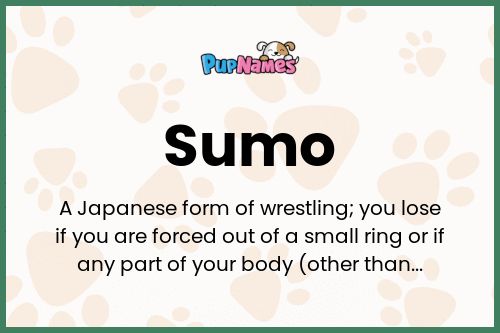 Sumo dog name meaning