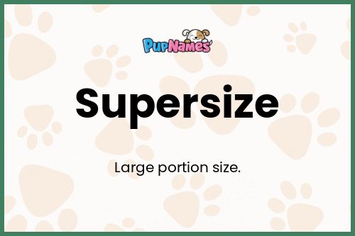 Supersize dog name meaning