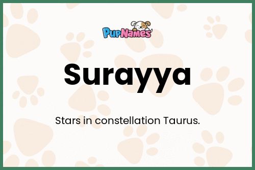 Surayya dog name meaning