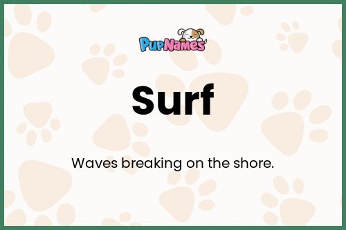 Surf dog name meaning