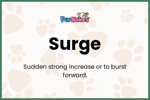 Surge dog name meaning