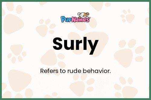 Surly dog name meaning