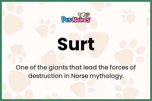 Surt dog name meaning