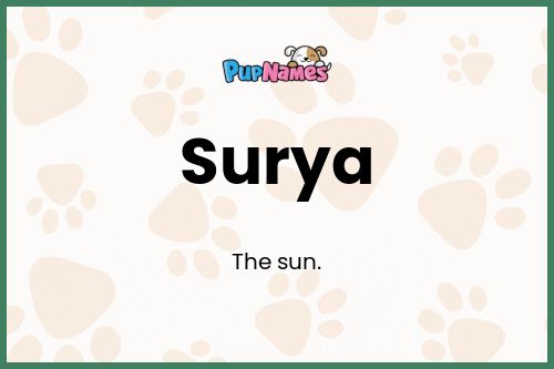 Surya dog name meaning