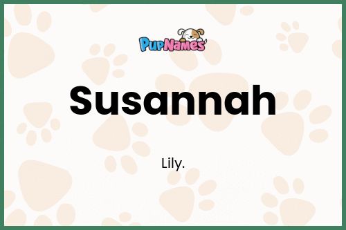 Susannah dog name meaning