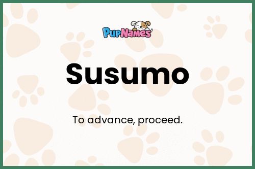 Susumo dog name meaning