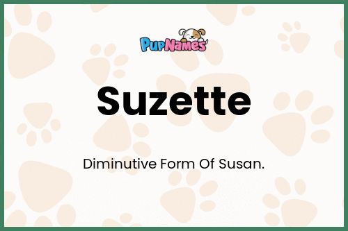 Suzette dog name meaning