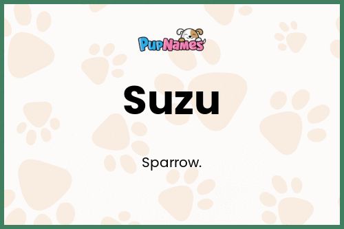 Suzu dog name meaning