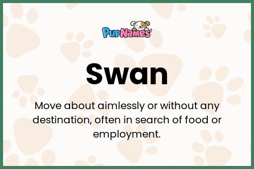 Swan dog name meaning