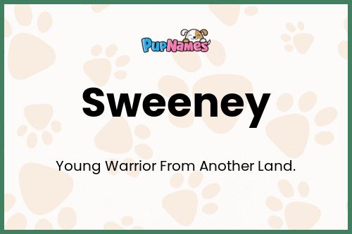 Sweeney dog name meaning