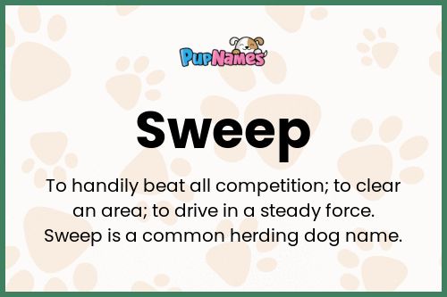 Sweep dog name meaning