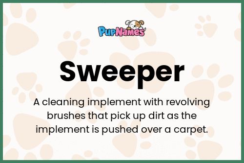 Sweeper dog name meaning