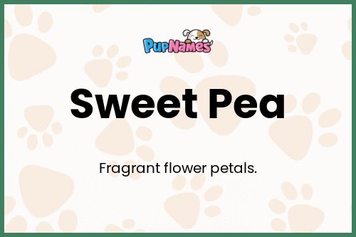 Sweet Pea dog name meaning