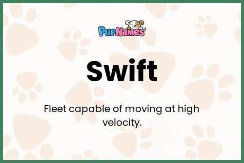 Swift dog name meaning