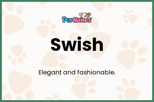 Swish dog name meaning