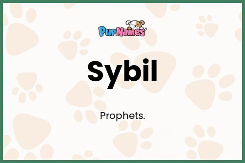 Sybil dog name meaning