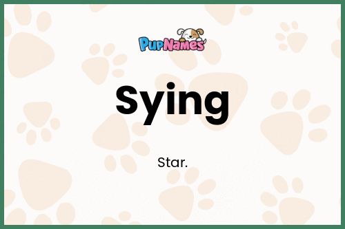 Sying dog name meaning