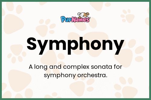 Symphony dog name meaning