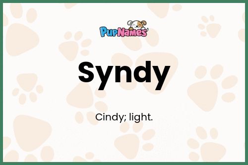 Syndy dog name meaning