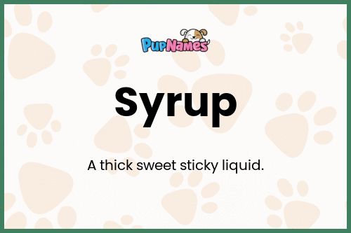 Syrup dog name meaning