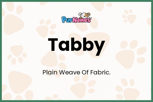 Tabby dog name meaning