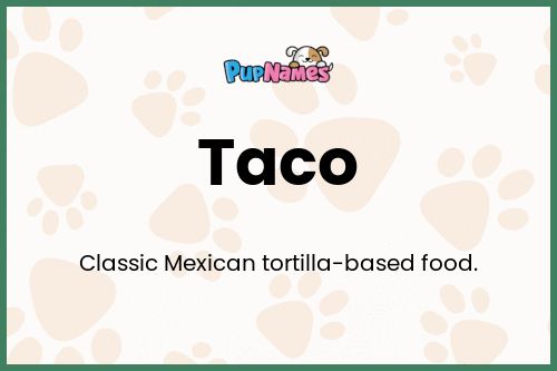 Taco dog name meaning