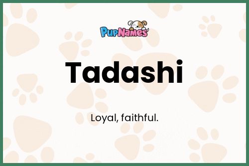 Tadashi dog name meaning