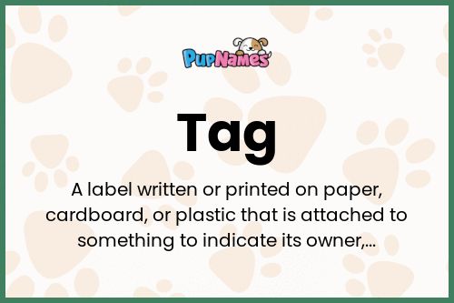 Tag dog name meaning