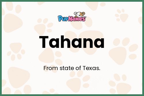 Tahana dog name meaning