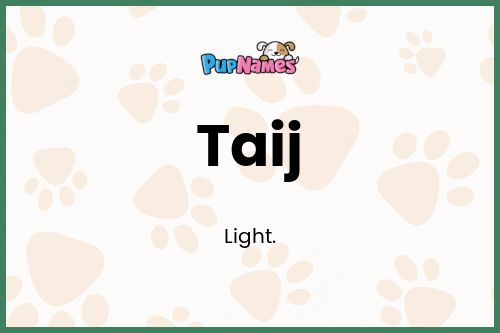 Taij dog name meaning