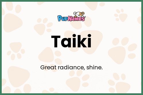 Taiki dog name meaning