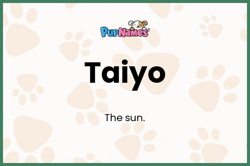 Taiyo dog name meaning