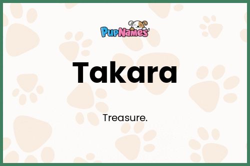 Takara dog name meaning