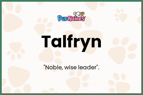 Talfryn dog name meaning